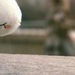 Татьяна Романовская фотография #6