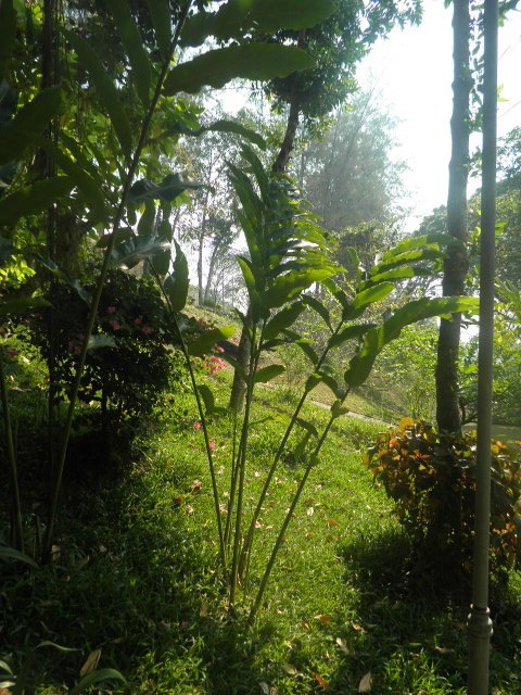 Елена Кукова | Новосибирск