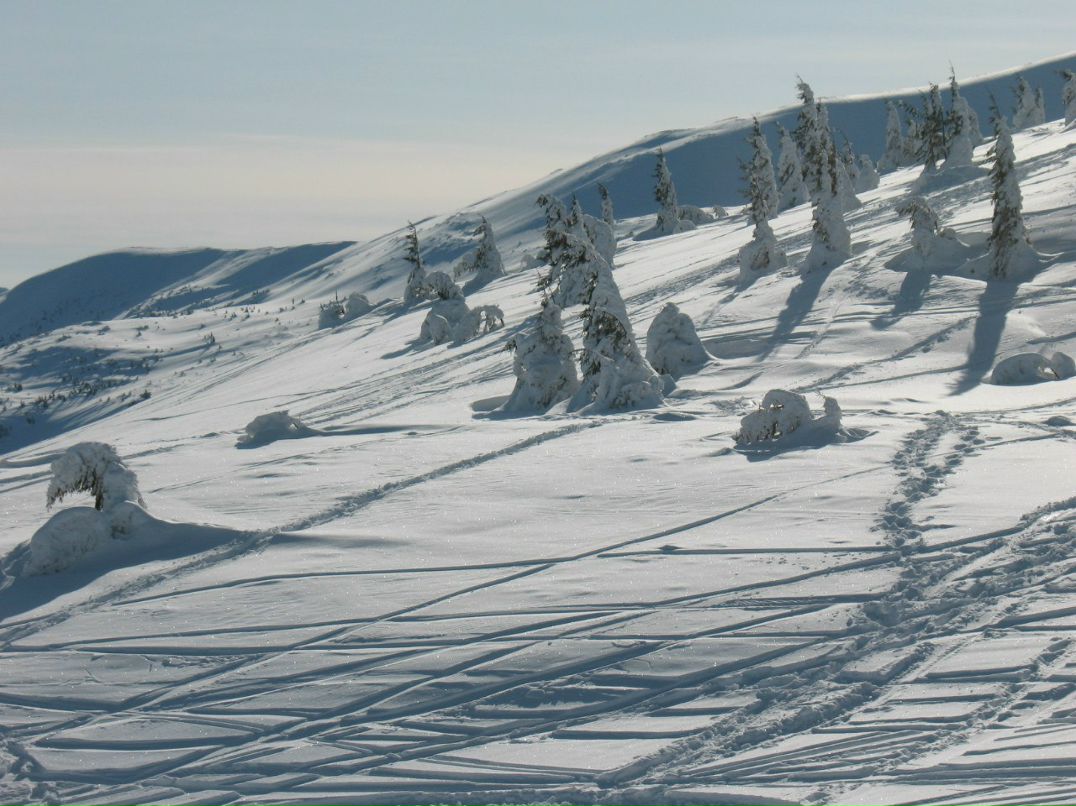 Светлана Черкасова | Запорожье