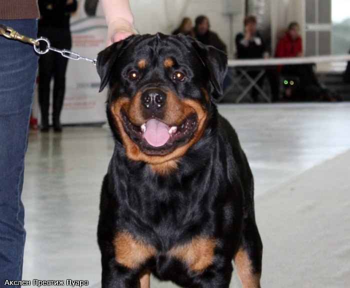 Елена Морозова | Санкт-Петербург