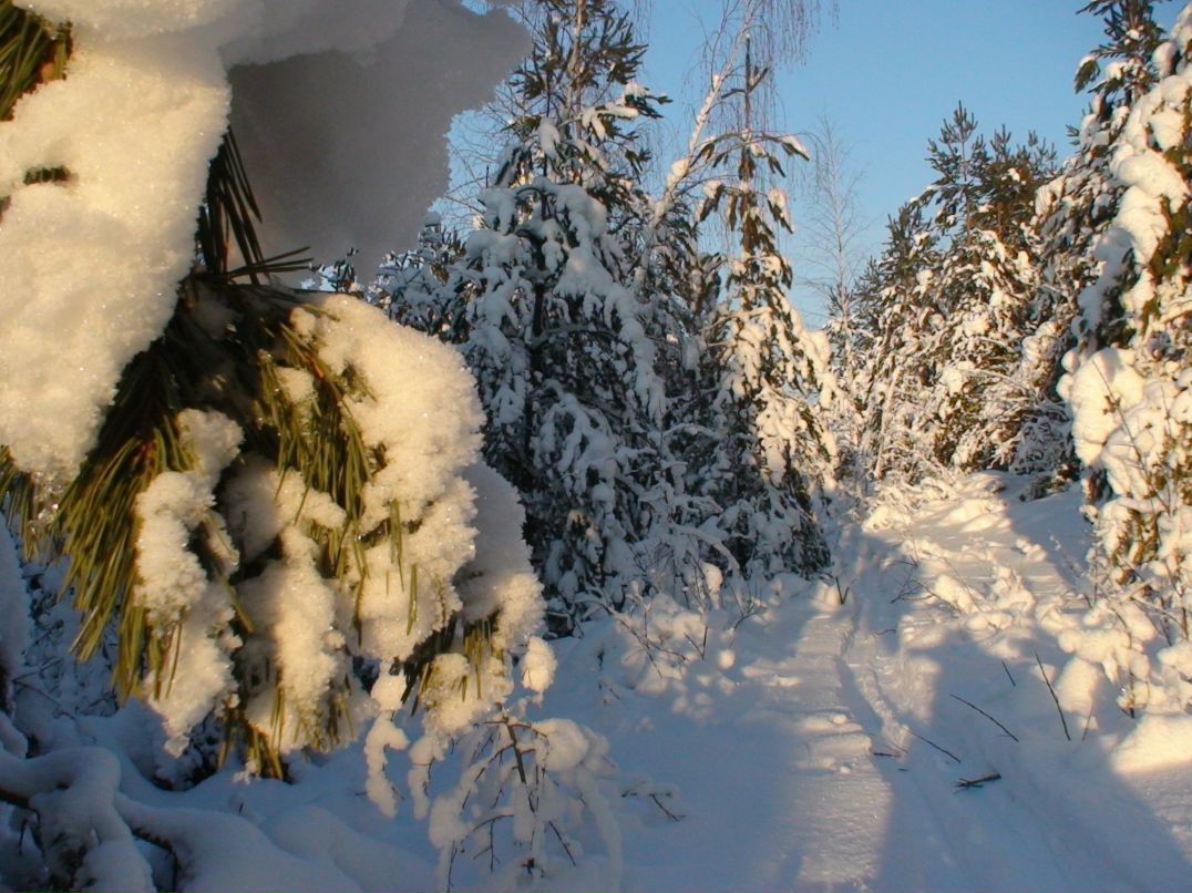 Ася Шторм | Санкт-Петербург