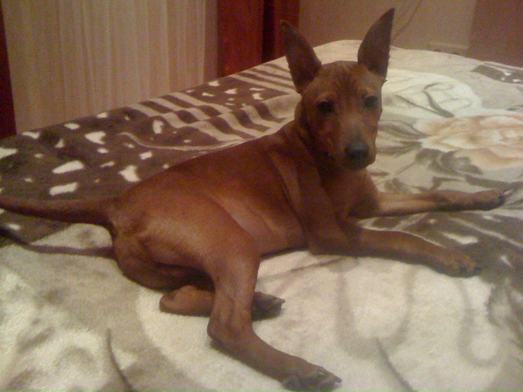 Сергей Пугачёв | Санкт-Петербург