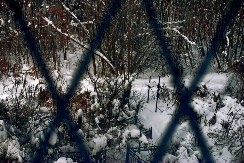 Fertility Hollis | Киев