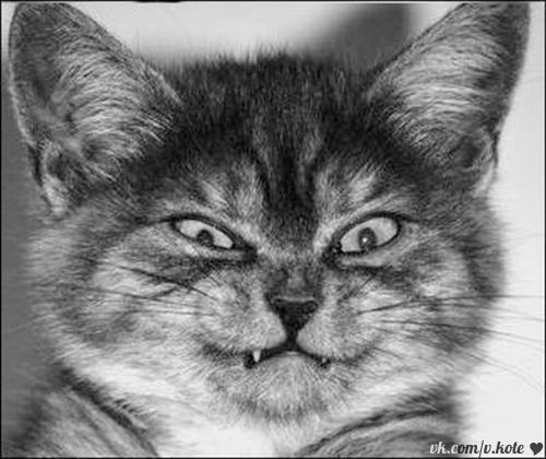 Валентин Халин | Невинномысск