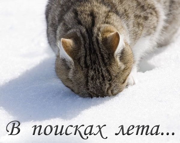 №123, Наталия Панченко, Омск №123, Наталия Панченко, Омск
