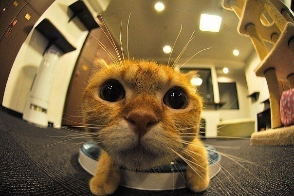 Илья Вдовин | Няндома