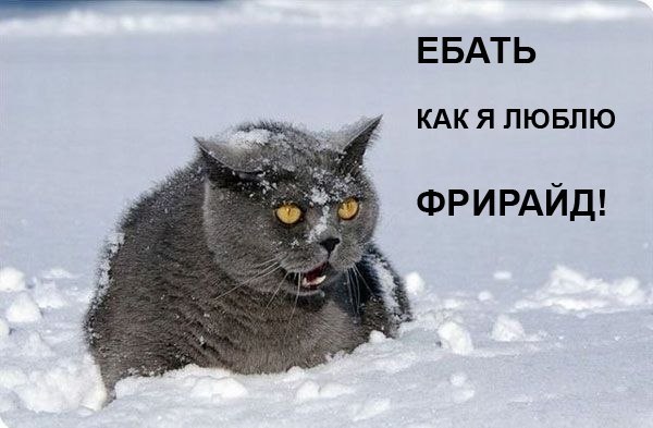 Олег Мингазов | 