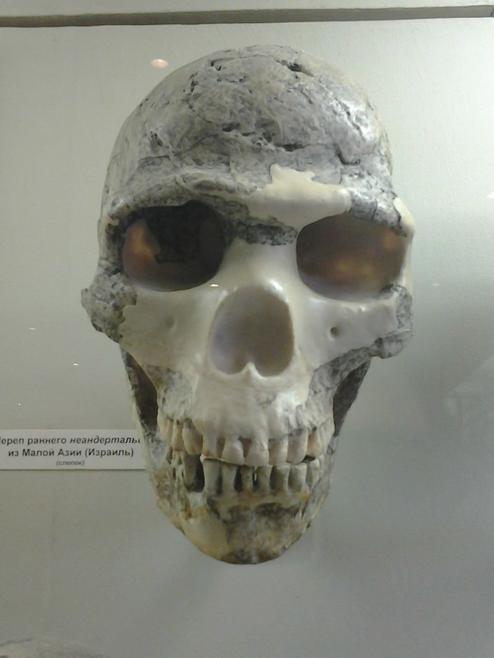 Миша Минченков | Москва