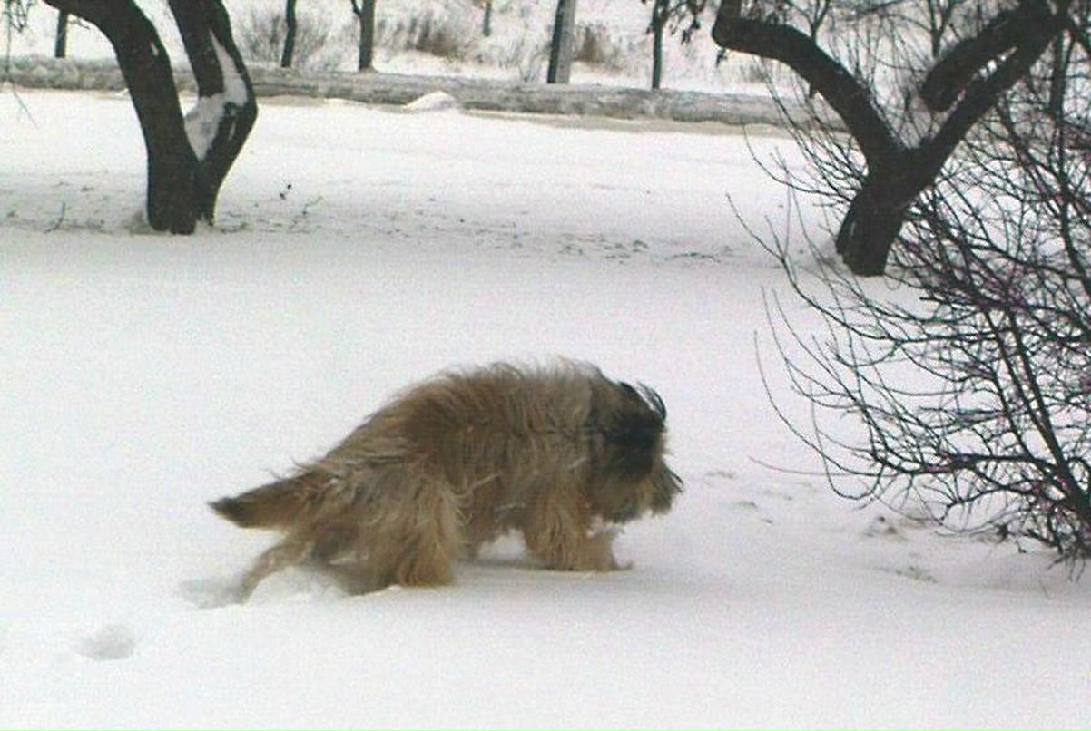 Алексей Моричев | Санкт-Петербург