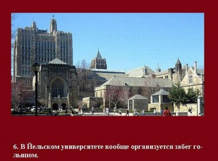 №20, Виталий Коваль, 35 лет, Харьков №20, Виталий Коваль, 35 лет, Харьков
