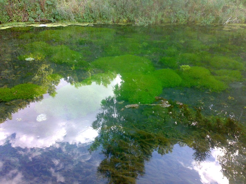 Илья Лутовинов | Чехов-2