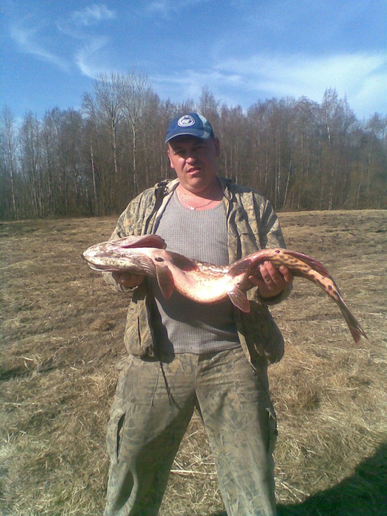 Андрей Веселов Владимирович | Оржицы