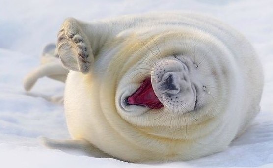 Виталька =) | Санкт-Петербург