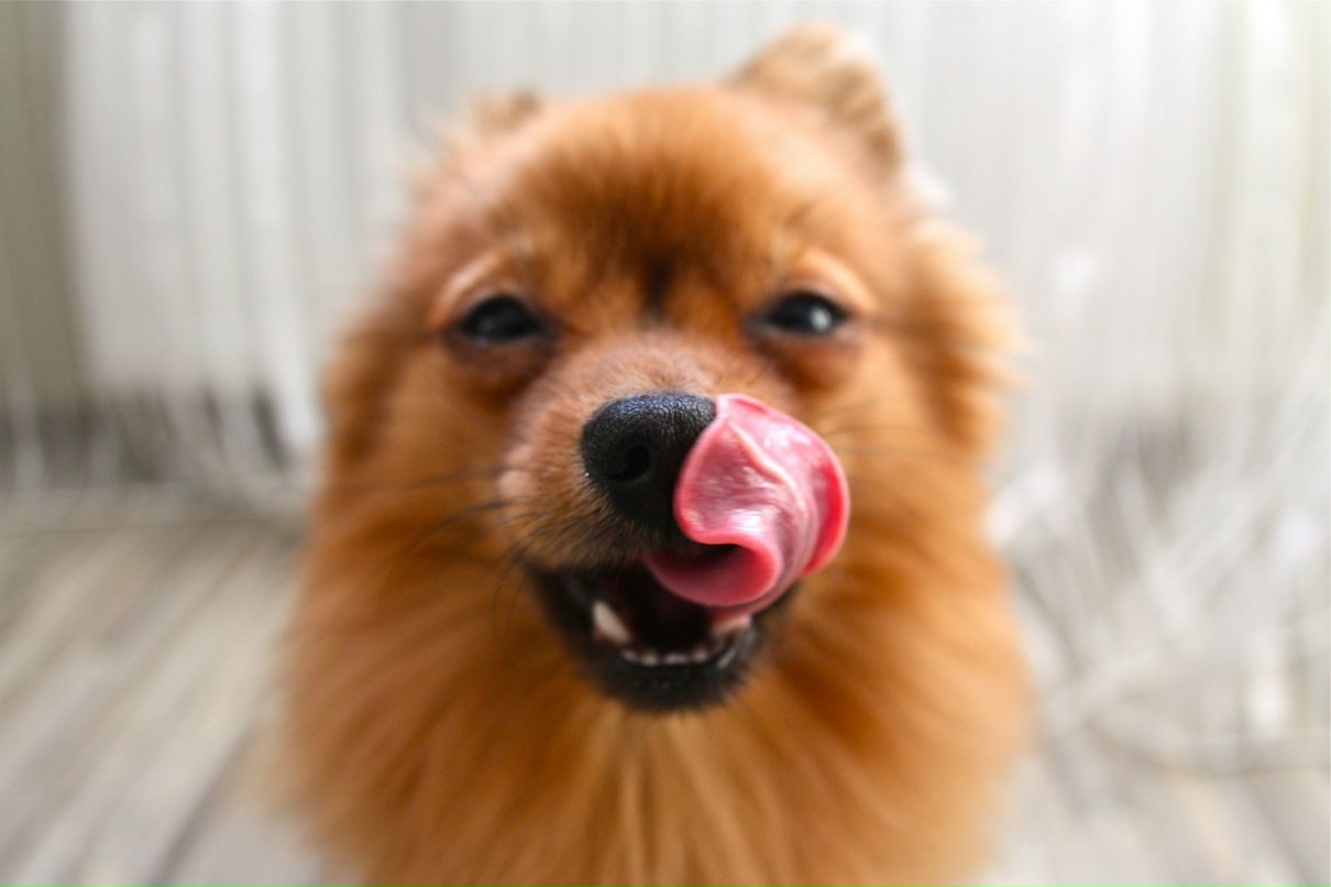 Кристина Левитан | Санкт-Петербург