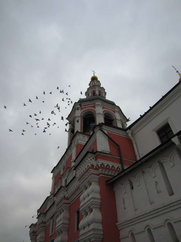 Ольга Кулагина | 