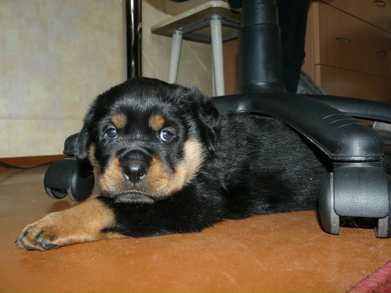 Катя Михайлова | Петрозаводск