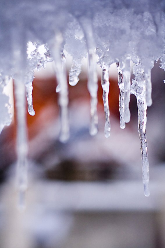 Алексей Кочурин screech | Екатеринбург