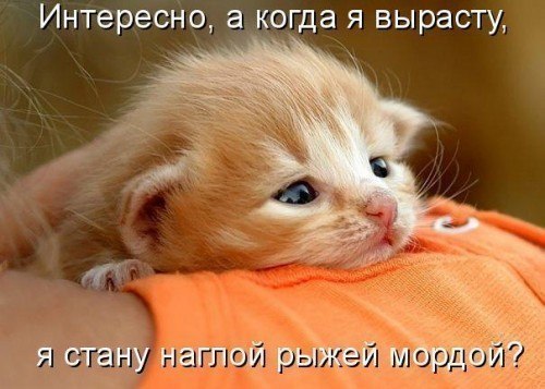 Инна Сомова | Красный Берег