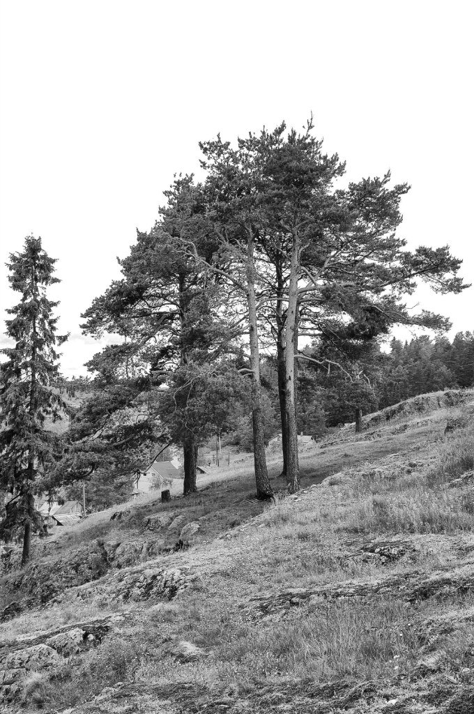 Tatiana Trufanova tatruf | Санкт-Петербург