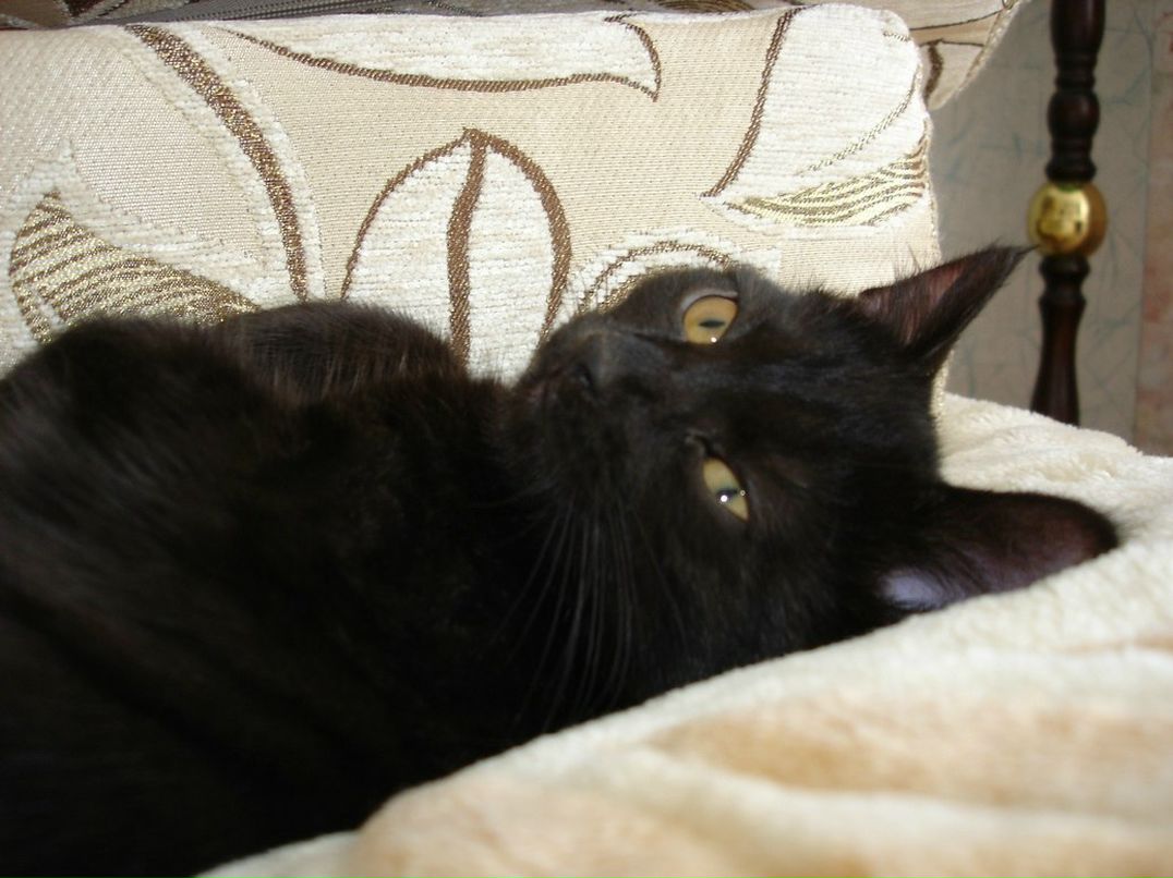 Василий Гаврилов Александрович | Пермь