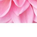 Анастасия Лытнева | Москва