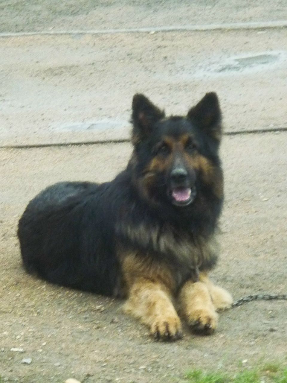 Алексей Пластинин | Череповец