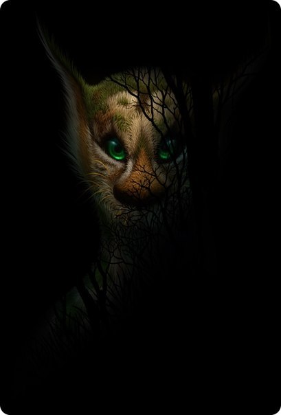 Елена Bergsson любимая | 