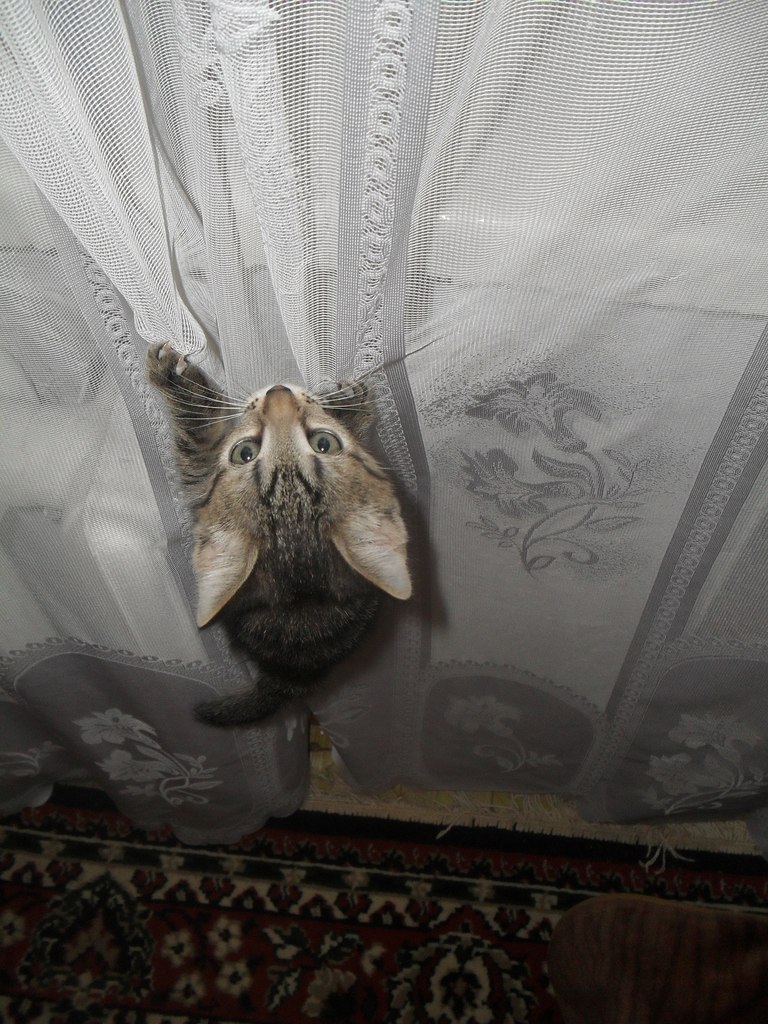 Наталия Ерохина | 