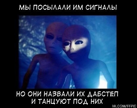 Фатина Овцана ღღღ | Mactuca