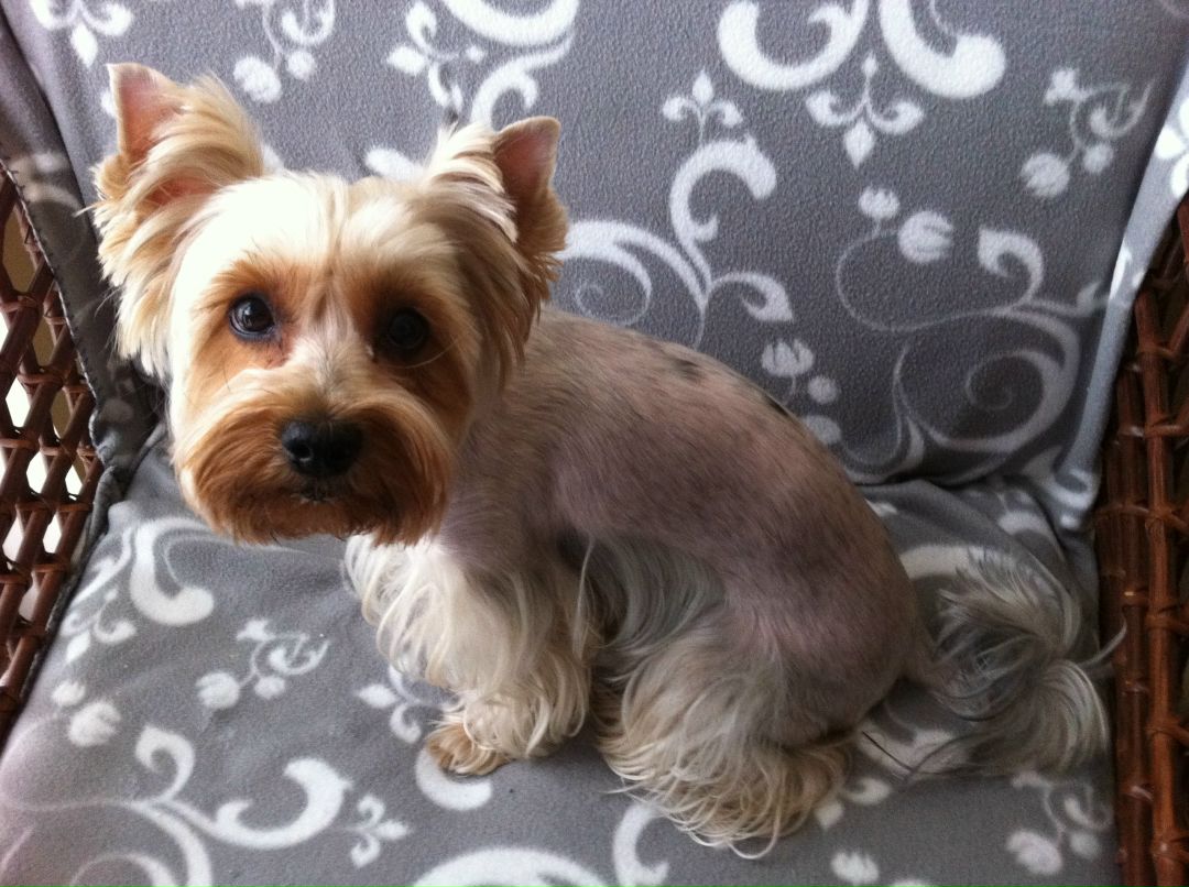 Инна Ефимова | Москва