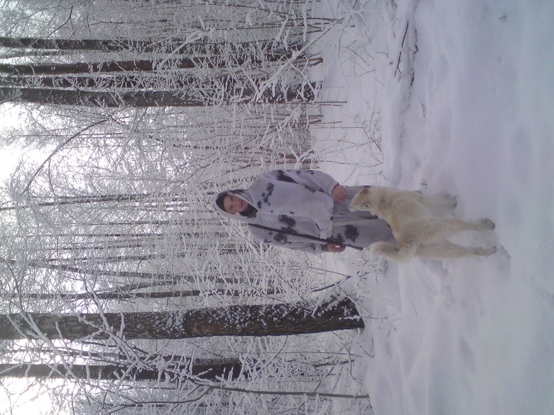 Александр Кривошеев | 