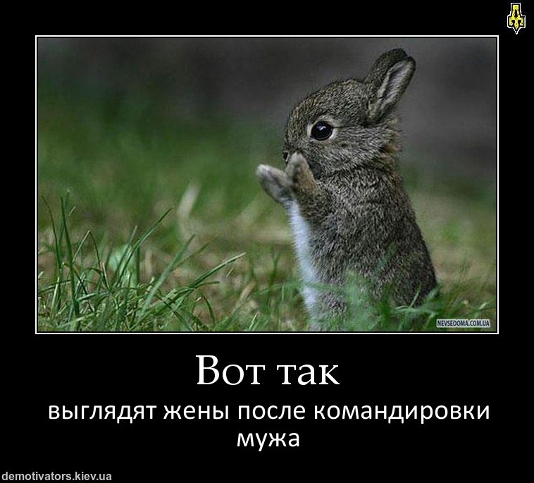 Костя Григоренко | Черкассы