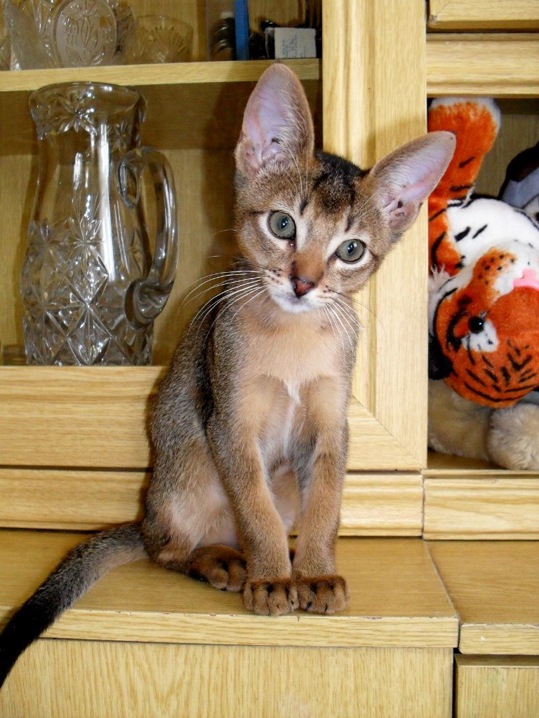 Татьяна Титович | Витебск