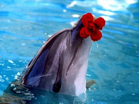 Анна Ломачук | Пятигорск