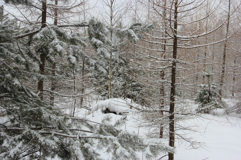 Вадим Соколов | Москва