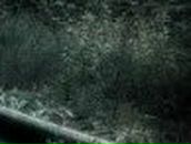 Александр Стафёров ___*STAFER*___ | Шахтерск