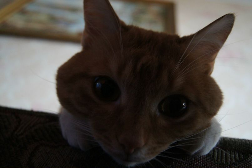 Катя Бруська | Владимир