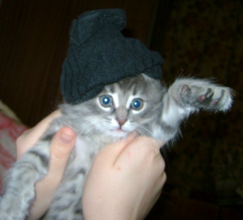 Олька Облакова | Нижний Новгород