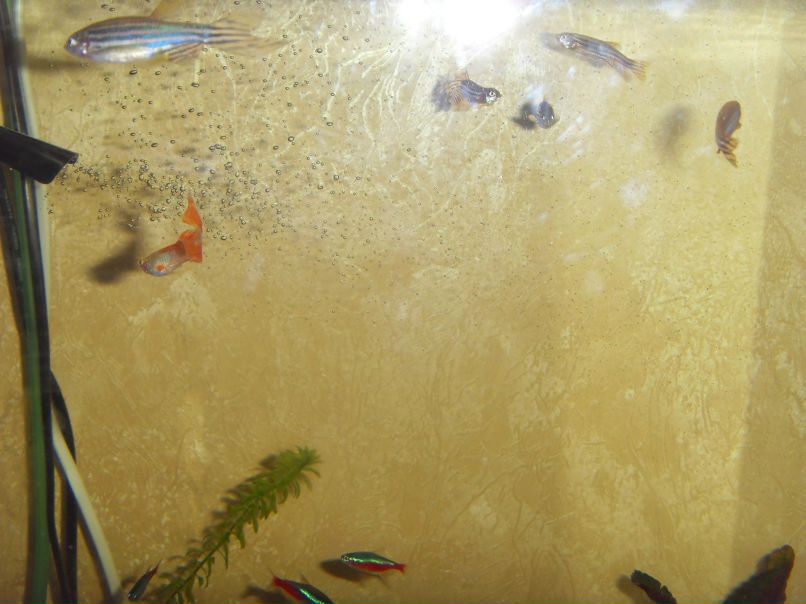 Кристина Бирюкова | Москва