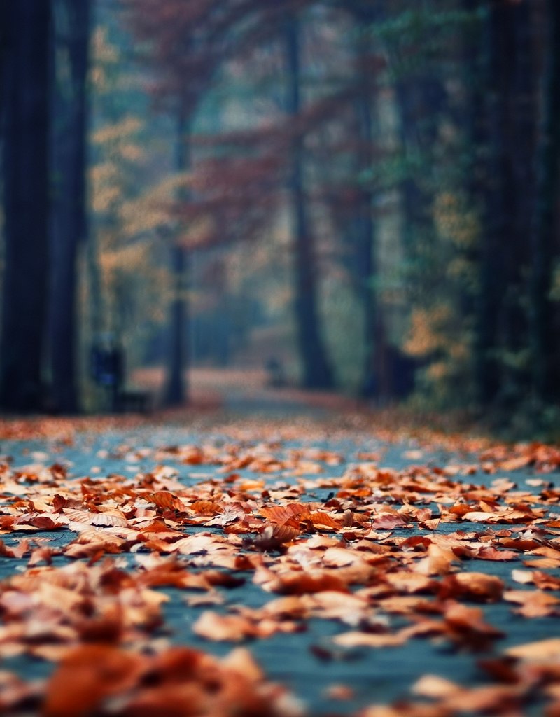 Неизвестный Персонаж | 