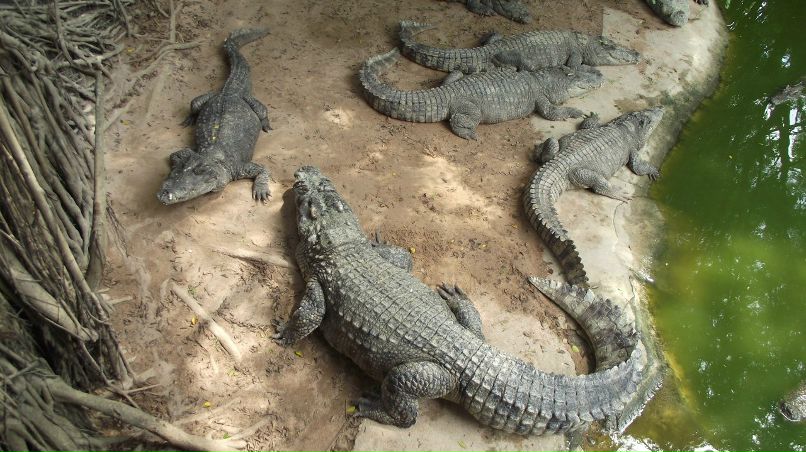 Наташа Корнацкая | Мончегорск