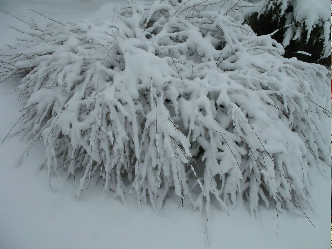 Татьяна Ильина | Лепель
