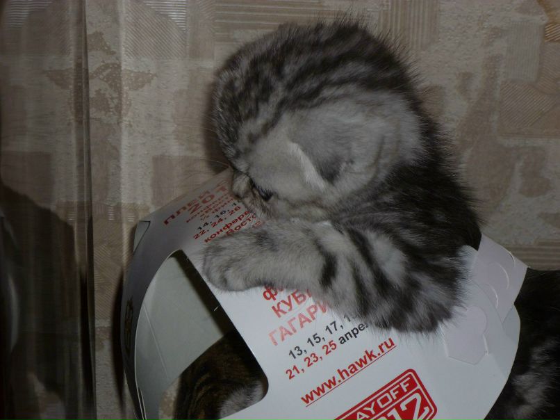 Юлия Ракова | Омск