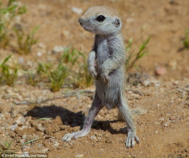 №85, Роман Редькин, 40 лет, Новосибирск, Россия №85, Роман Редькин, 40 лет, Новосибирск, Россия