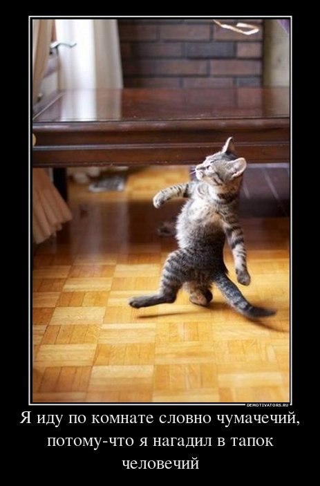 Ксения Гончарова | 