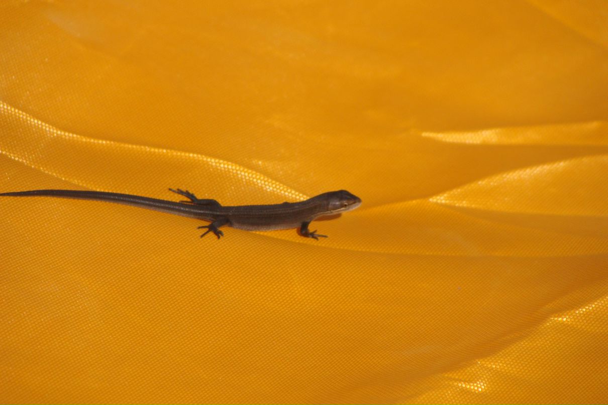 Марина Рулева | Владивосток