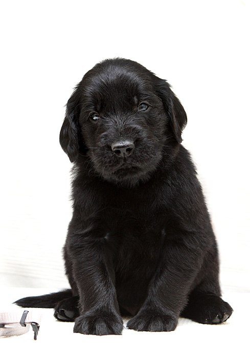 Анна Лебедева | Москва