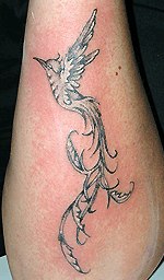 Александр Давиденко Александрович | Черкассы