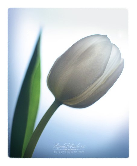 Анна Марьясова | Северобайкальск