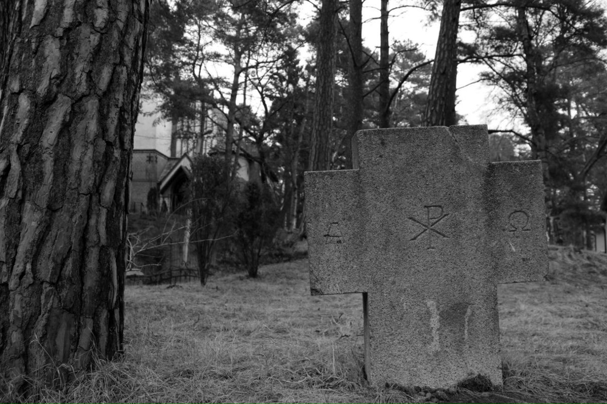 Герд Визлер | Калининград